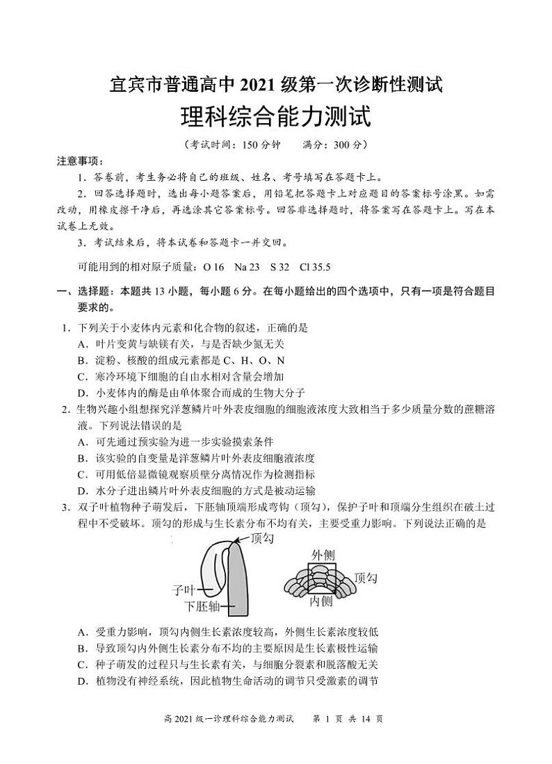 四川省宜宾市2023-2024学年高三上学期第一次教学质量诊断性考试 理综试题及答案01
