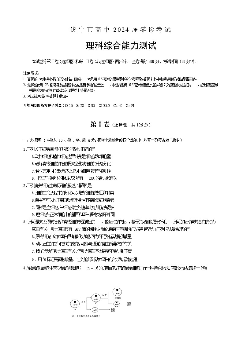 四川省遂宁市2024届高三理综上学期零诊考试试题（Word版附答案）第1页