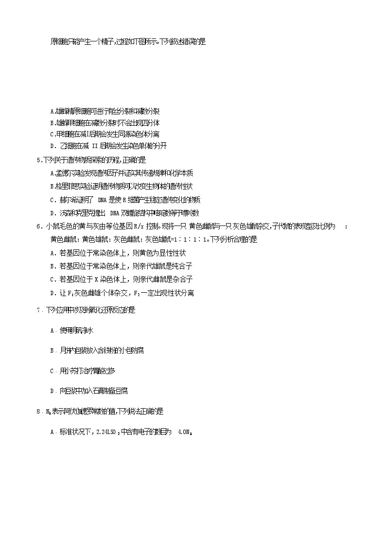 四川省遂宁市2024届高三理综上学期零诊考试试题（Word版附答案）第2页
