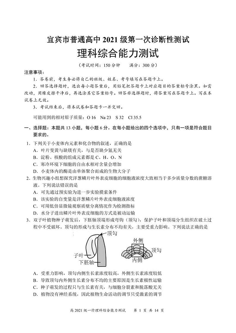 四川省宜宾市2023-2024高三上学期一诊理科综合试卷及答案01