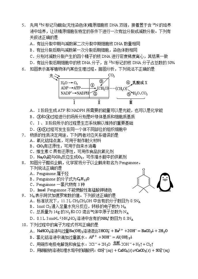 四川省南充市阆中中学校2023-2024学年高三上学期一模考试理综试题02