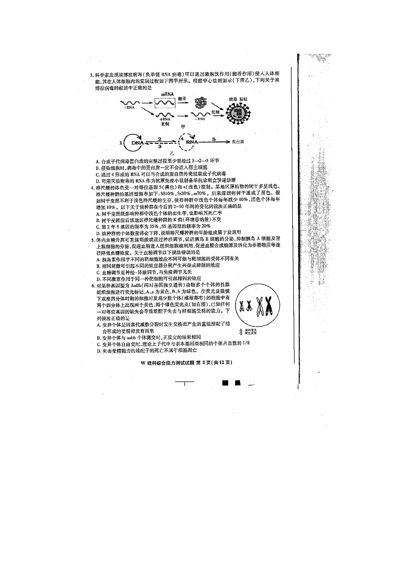 江南十校高三联考理综试题及答案02