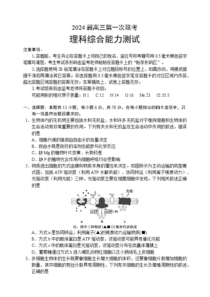 四川省容城名校联盟2024届高三上学期第一次联考理综试题（Word版附答案）第1页