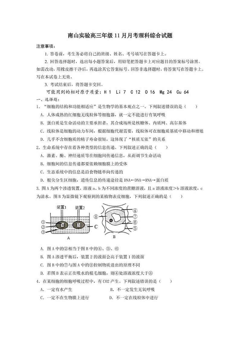 2024绵阳南山中学实验学校高三上学期11月月考试题（补习班）理综PDF版含答案01