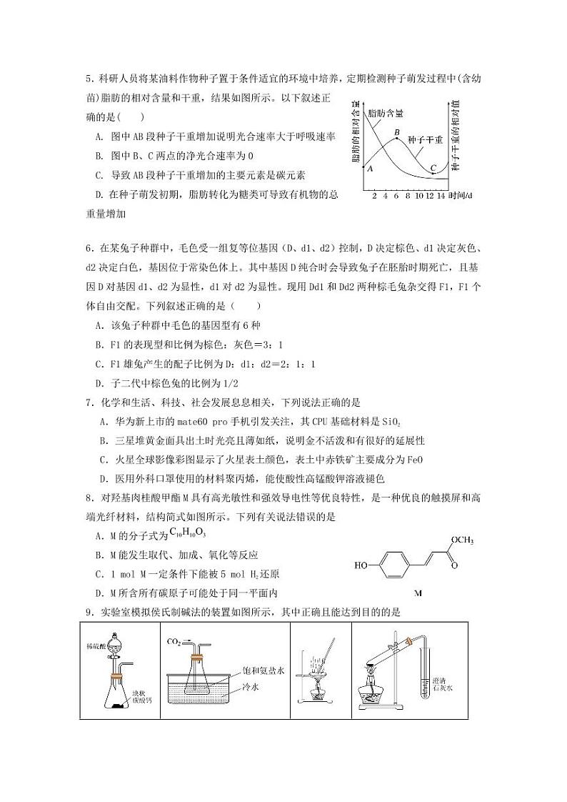 2024绵阳南山中学实验学校高三上学期11月月考试题（补习班）理综PDF版含答案02