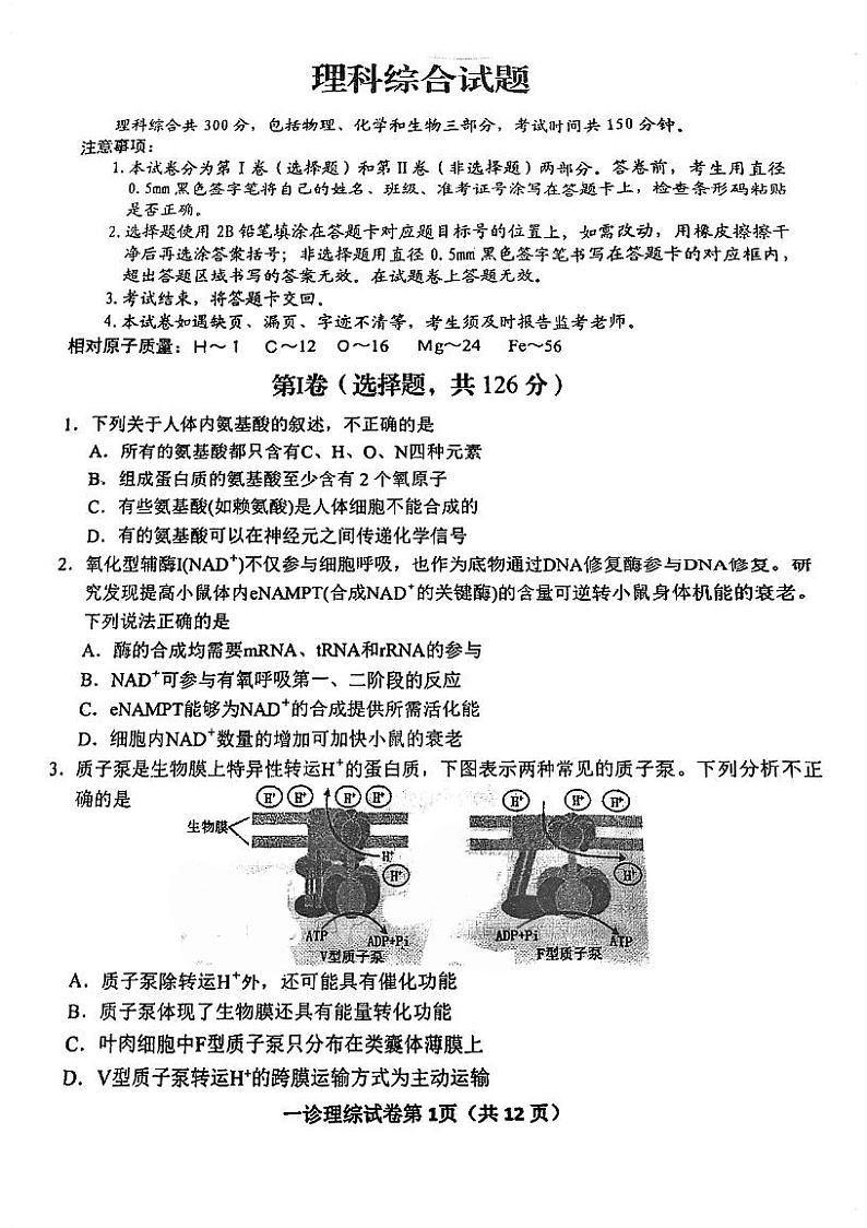 【全国甲卷】2024届四川省达州市普通高中高三上学期第一次诊断性考试理科综合01