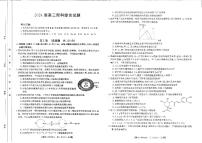 2024雅安高三上学期12月联考试题理综PDF版含答案