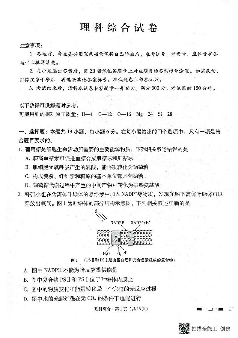 云南师范大学附属中学2024届高三上学期高考适应性月考卷（六）理综01