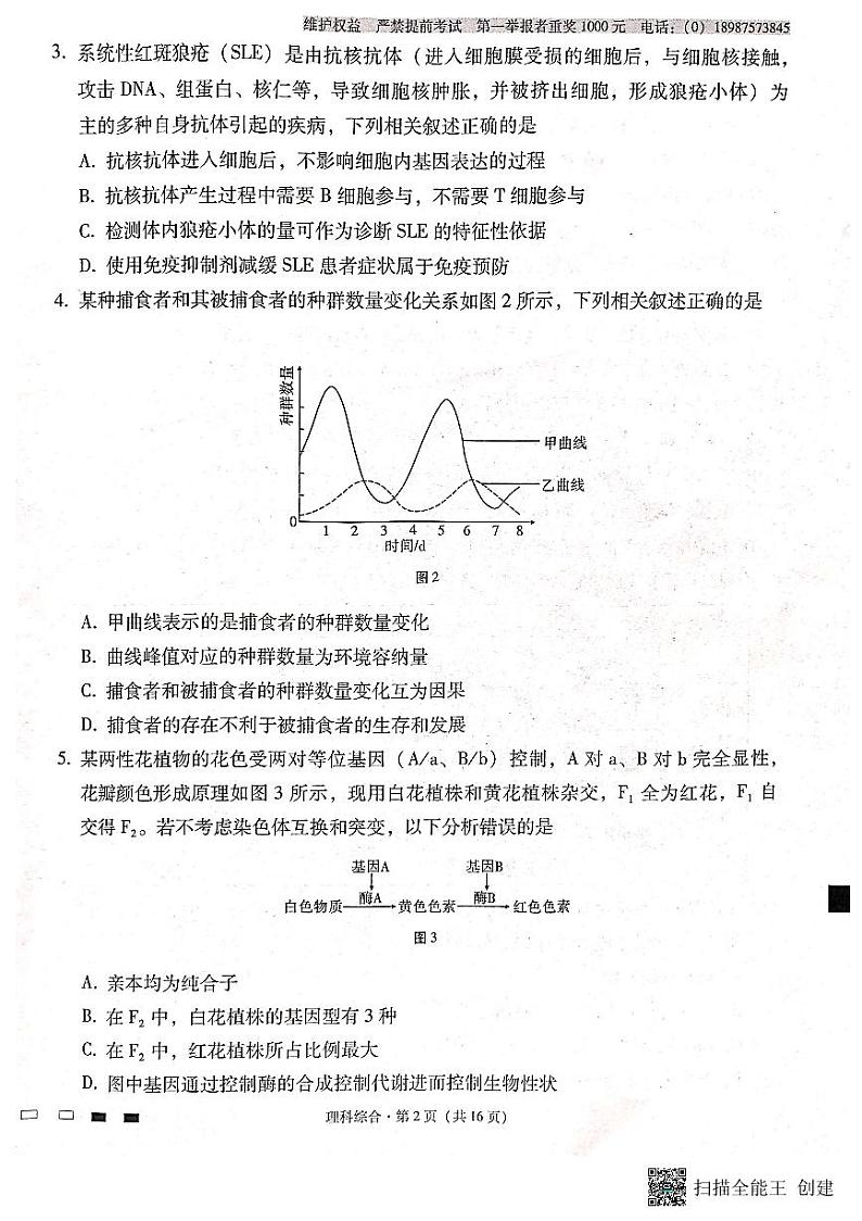 云南师范大学附属中学2024届高三上学期高考适应性月考卷（六）理综02