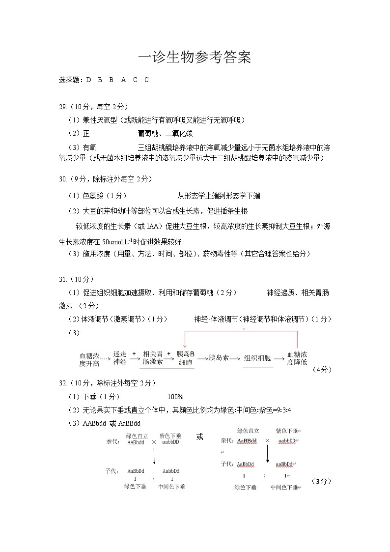2024届四川省自贡市普高高三上学期第一次诊断性考试理综试题及答案01