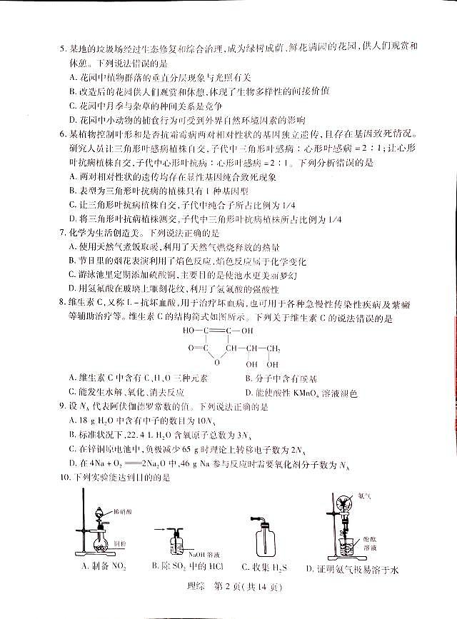 2024届西藏自治区拉萨市高三上学期第一次模拟考试理综试题和答案02