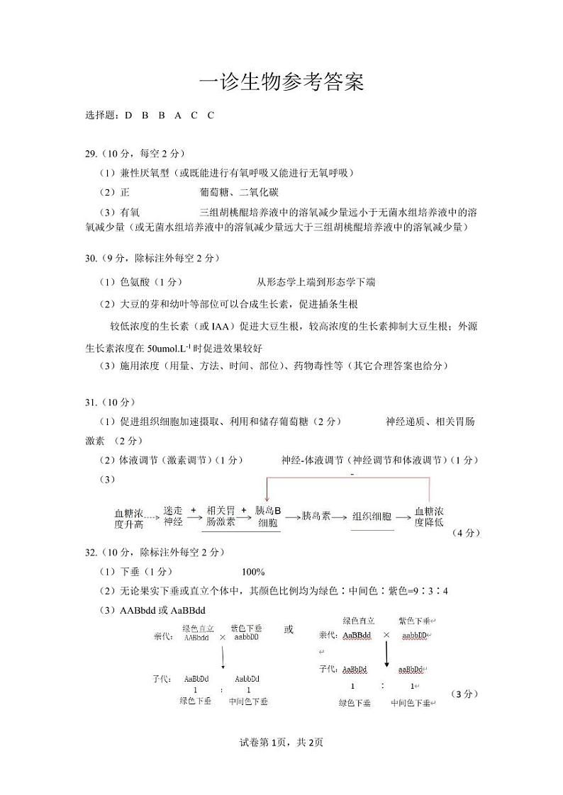 2024自贡高三上学期第一次诊断性考试理综PDF版含答案01