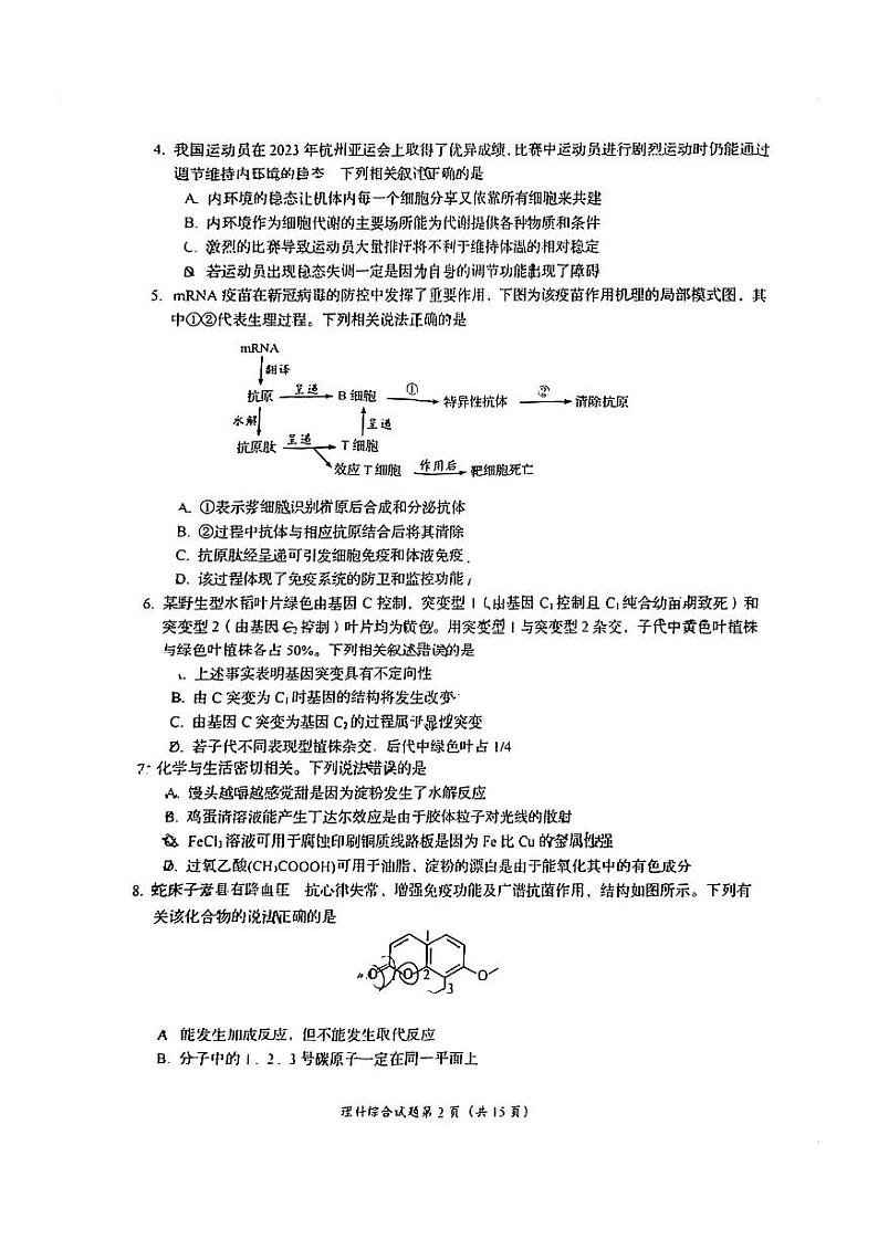 2024自贡高三上学期第一次诊断性考试理综PDF版含答案02