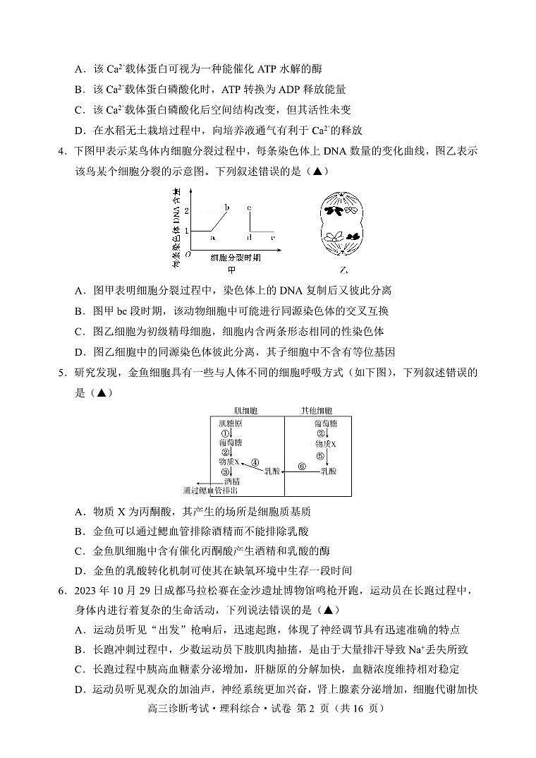 四川省甘孜州2024届高三上学期第一次诊断考试  理综  PDF版含答案02