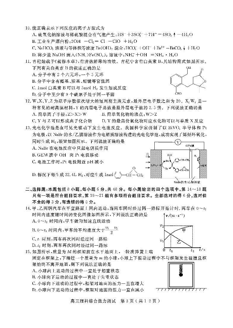 2024乐山高三上学期第一次调研考试理综PDF版含答案03