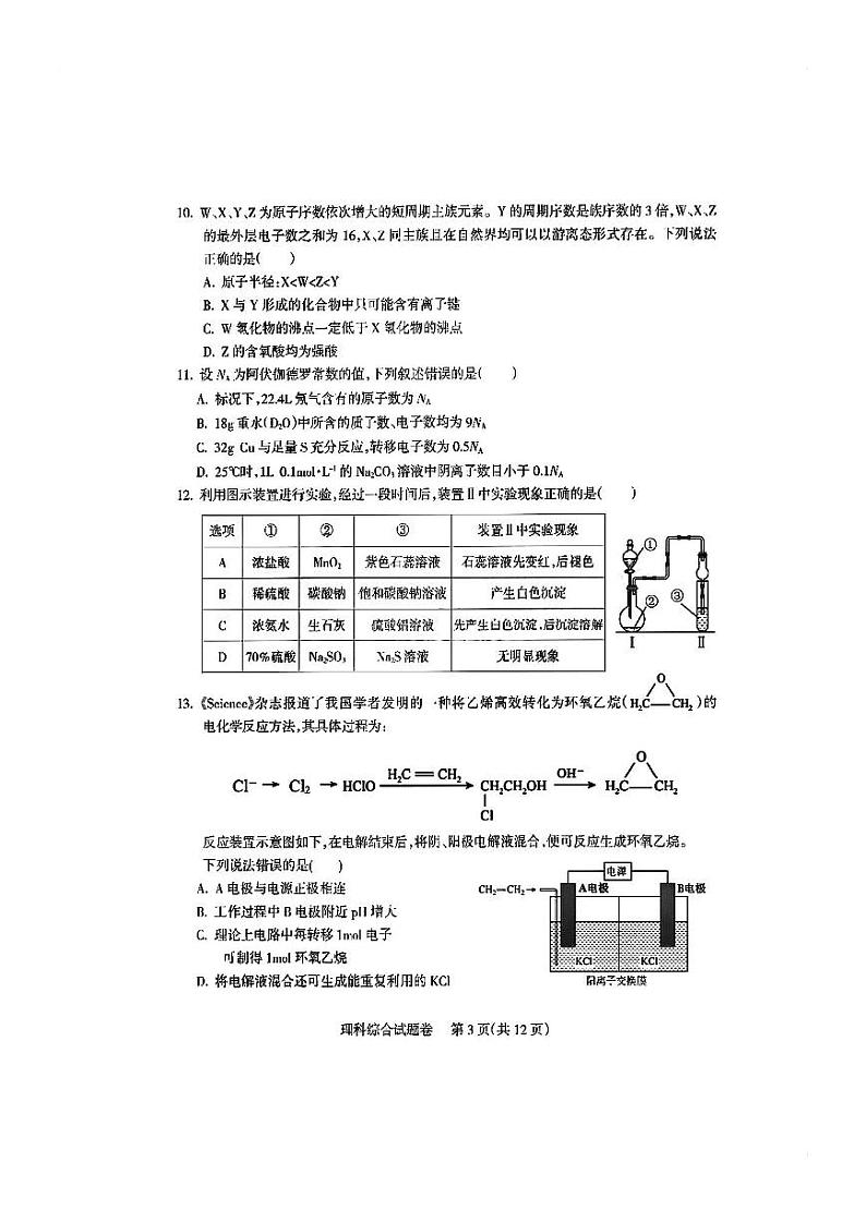 凉山州2024届高中毕业班第一次诊断性检测理综第3页
