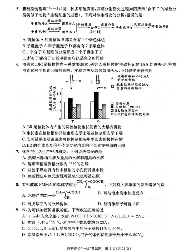 理综-2024届四川成都高中毕业班第一次诊断性检测带答案第2页