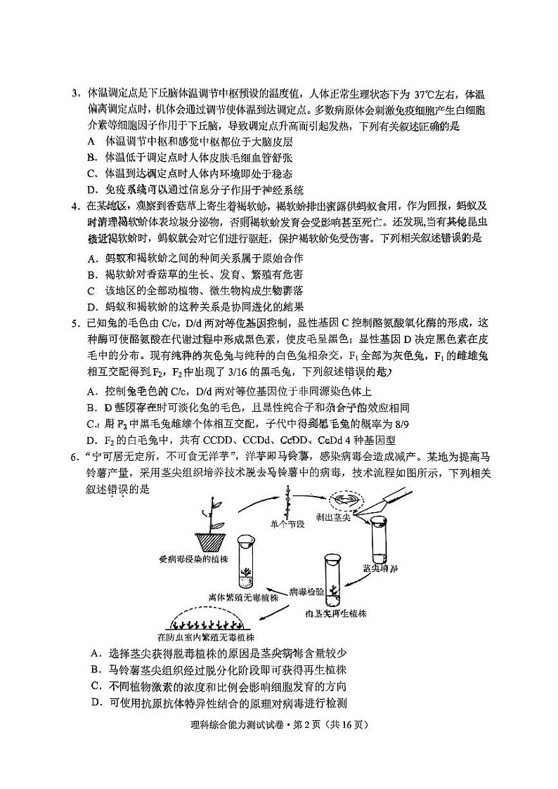 2024届云南省红河哈尼族彝族自治州、文山壮族苗族自治州高三上学期第一次复习统一检测理综试卷02
