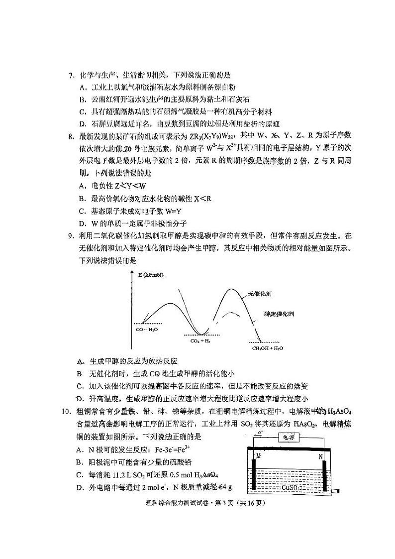 2024届云南省红河哈尼族彝族自治州、文山壮族苗族自治州高三上学期第一次复习统一检测理综试卷03