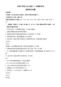 四川省合江县马街中学2024届高三上学期一诊模拟考试理综试题（Word版附解析）