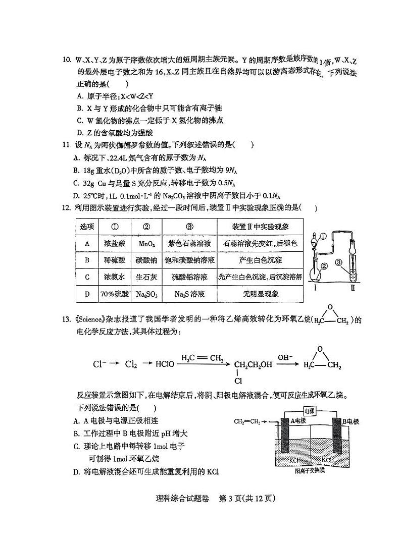 四川省凉山彝族自治州2024届高三第一次诊断性检理综03