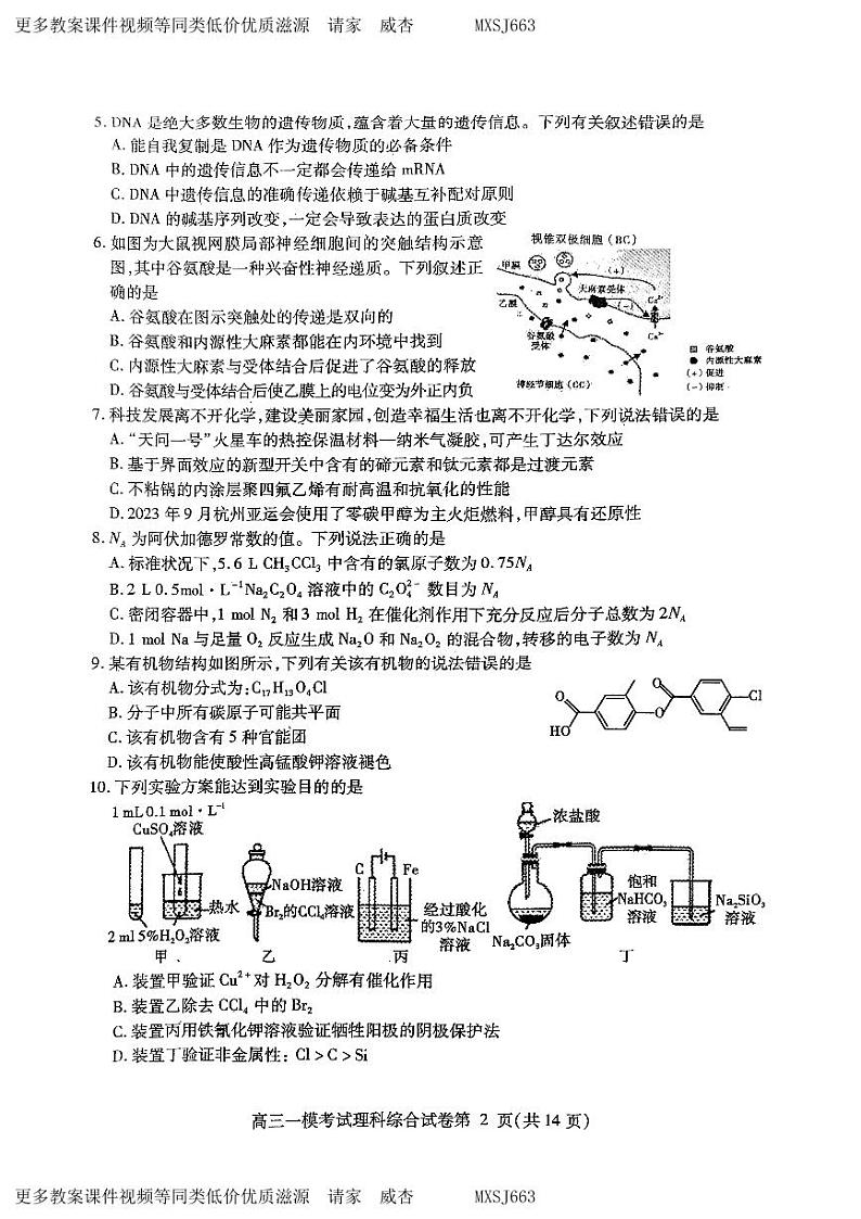 2024届四川省内江市高中高三上学期第一次模拟考试理科综合试题02