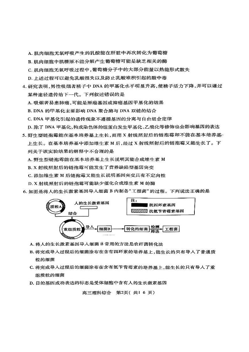 扫描件_理科综合第2页