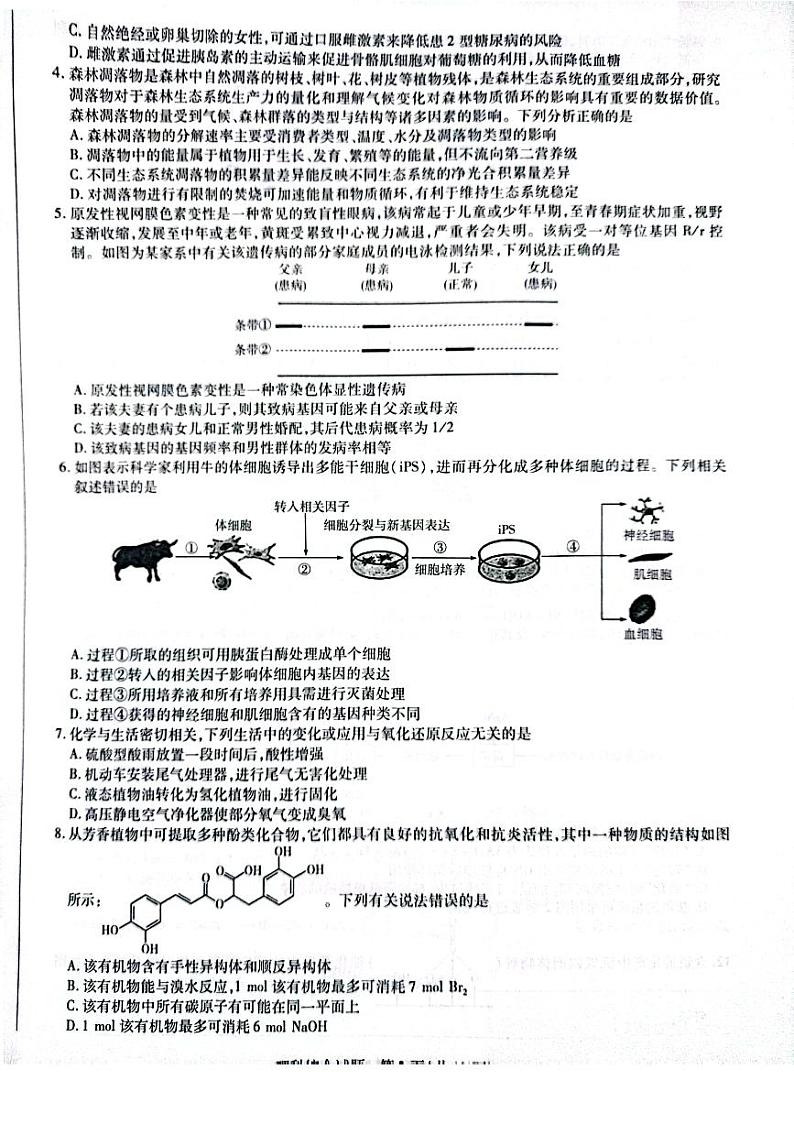 河南省项城市2023-2024学年高三上学期1月月考理综试题第2页