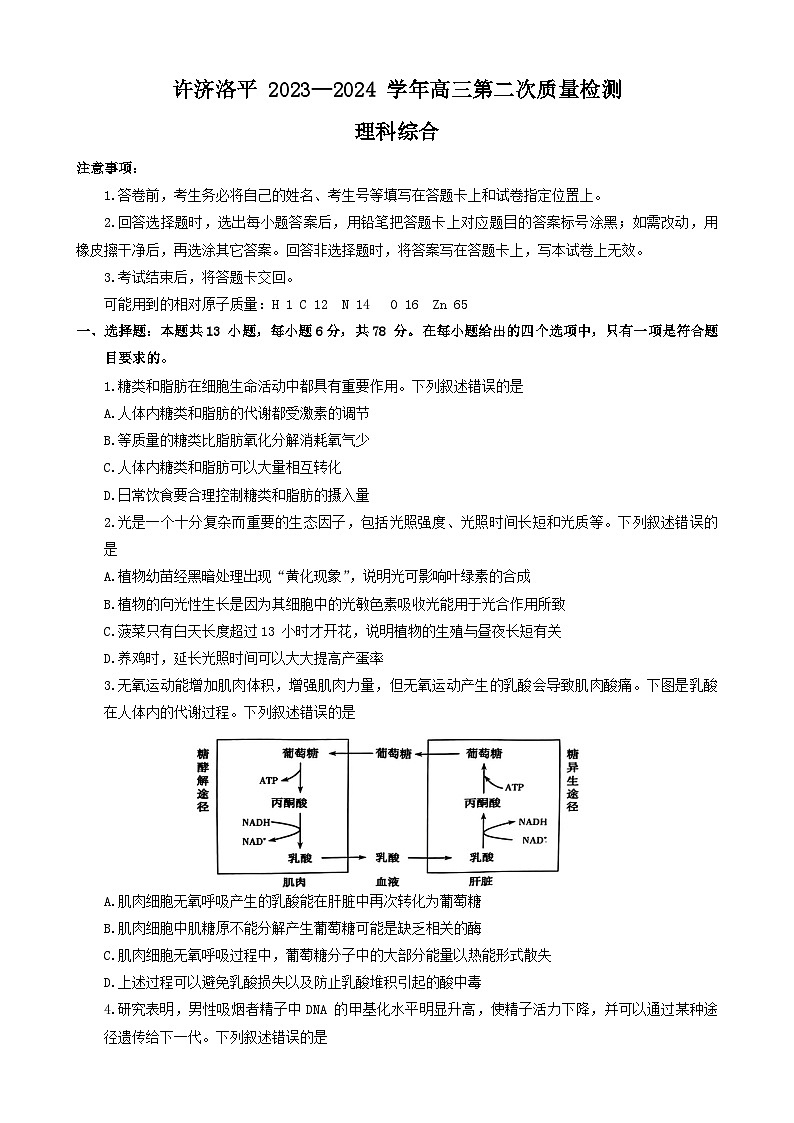 2024河南省许平洛济四市高三上学期第二次质量检测试题理综含答案第1页
