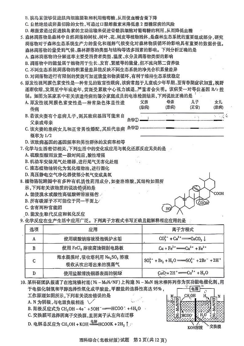 2024届陕西省安康市安康中学高新分校，安康市高新中学高三上学期模拟预测理综试题第2页