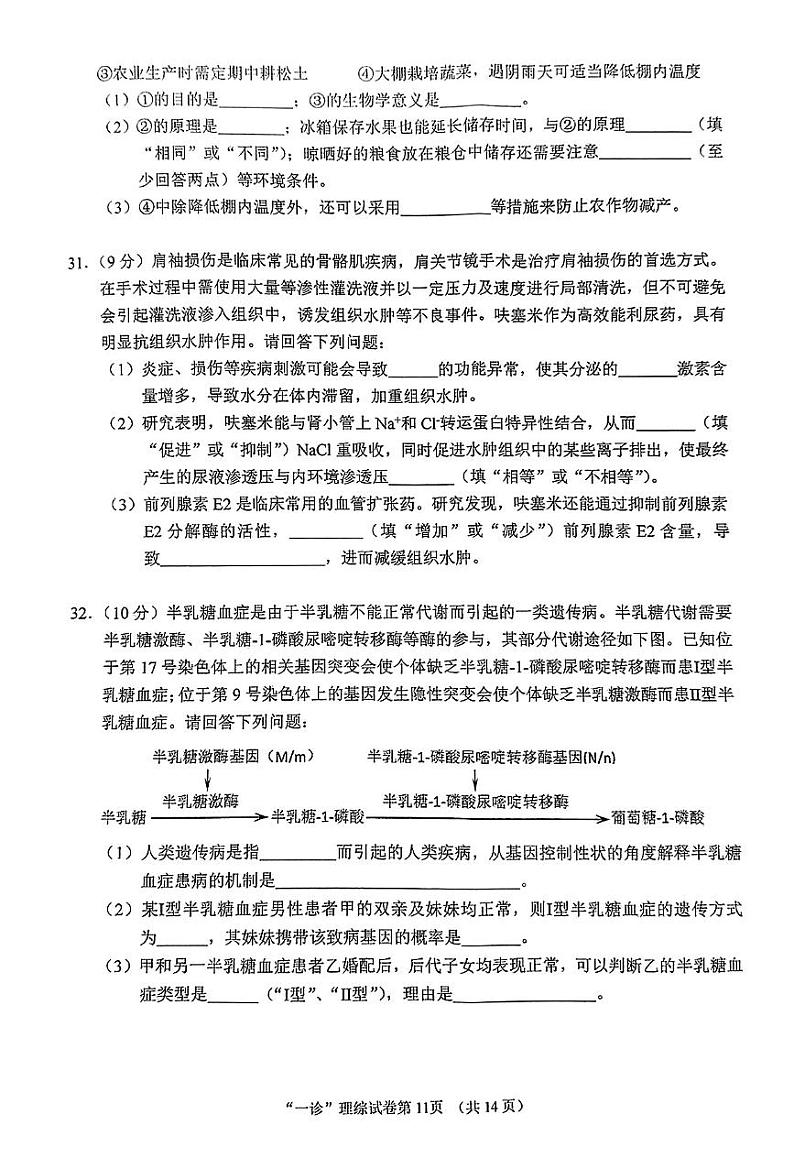 2024届四川省南充市高三上学期一诊考试理科综合试题02