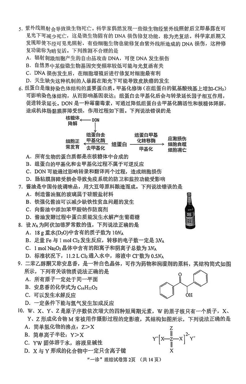 2024届四川省南充市高三上学期一诊考试理科综合试题02