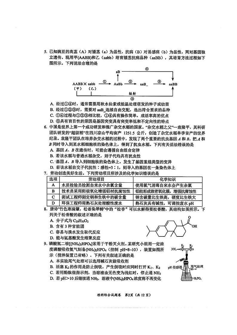 2024届绵阳高三二诊理科综合试卷含答案解析02