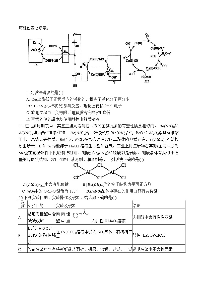 2024届河南省南阳市第一中学校高三上学期第五次月考理综试题（Word版）第3页