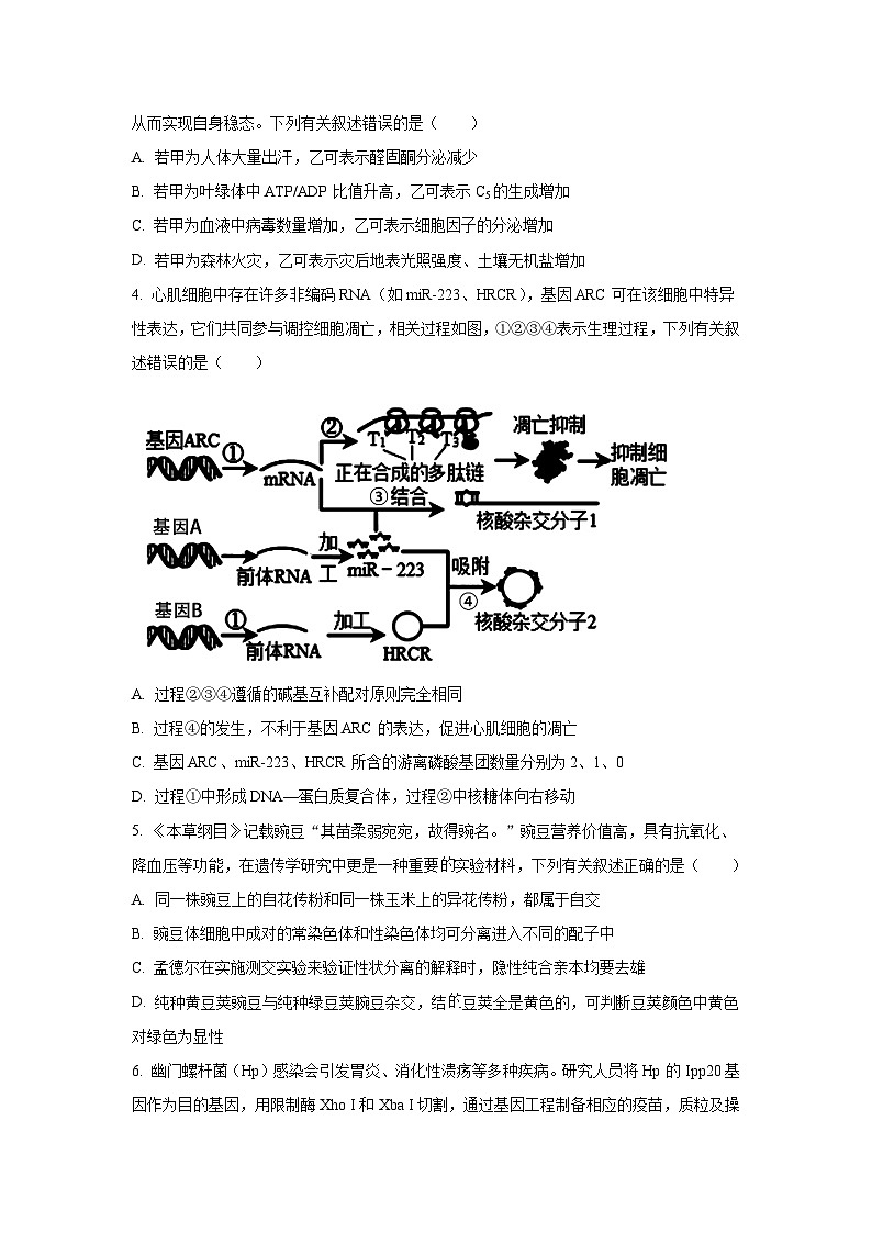 河南省安阳市林州市第一中学2023-2024学年高三上学期1月期末考试理综试卷（Word版附解析）第2页