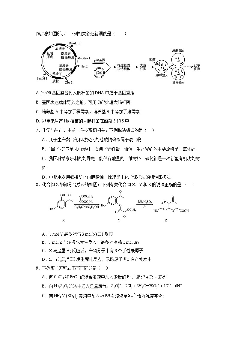 2024安阳林州一中高三上学期1月期末考试理综含解析第3页