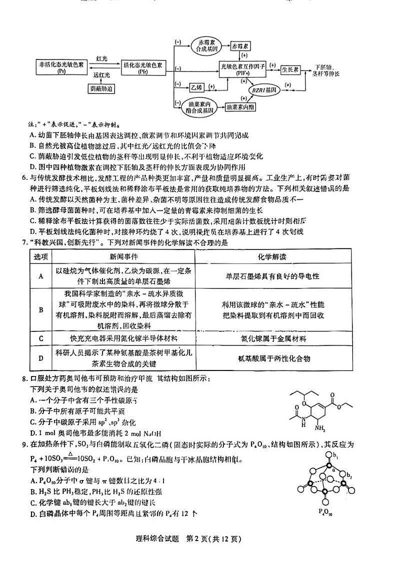 2024届河南省焦作市普通高中高三上学期第一次模拟考试理科综合试题02
