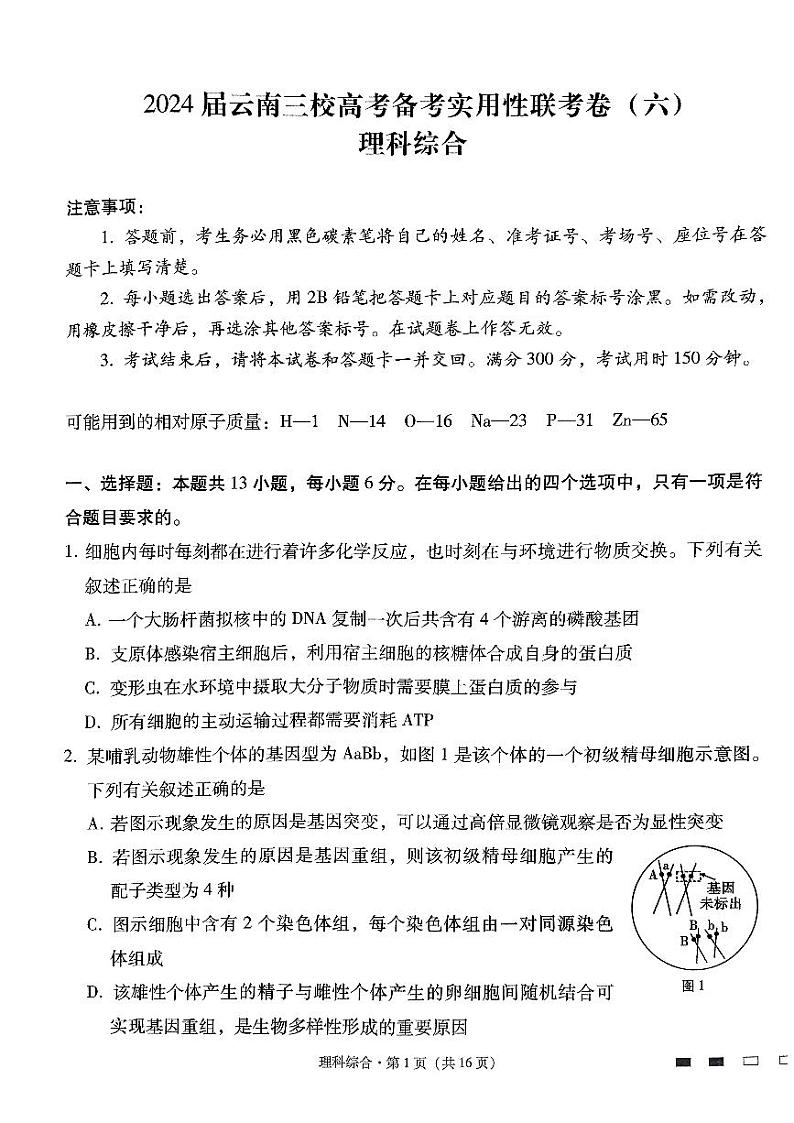 云南省三校2024届高三高考备考实用性联考卷（六）理综试卷（PDF版附解析）第1页