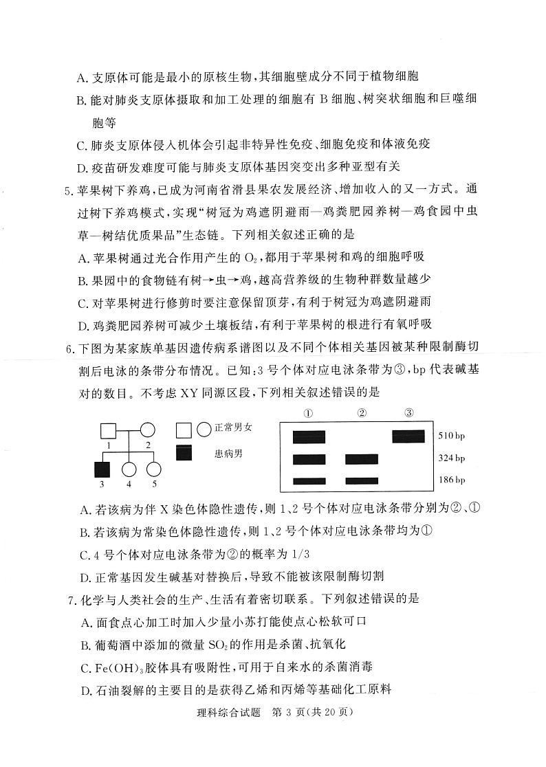 湘豫名校联考2024年2月高三第一次模拟考试理综试题第3页