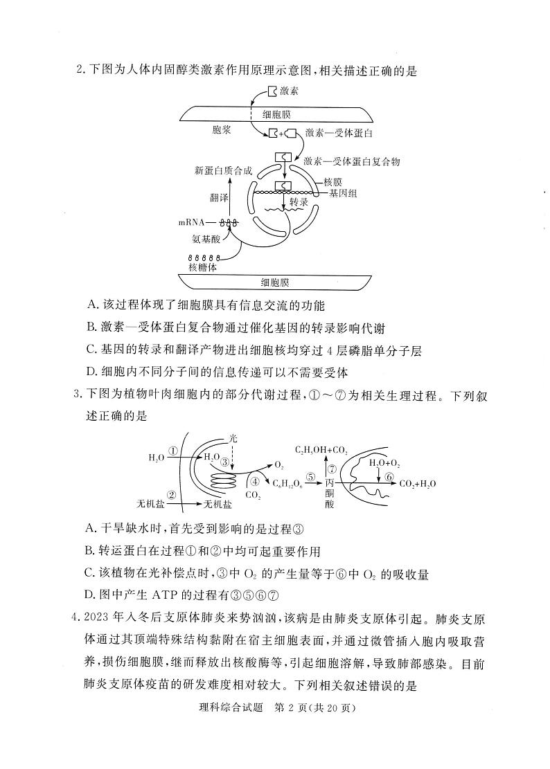 湘豫名校联考2024年2月高三第一次模拟考试理综试题第2页