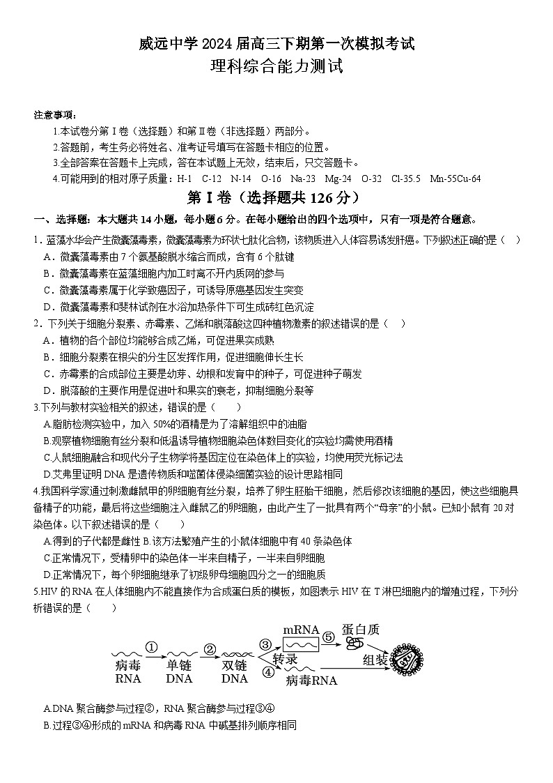 2024届四川省内江市威远中学校高三下学期第一次模拟考试理科综合试题01