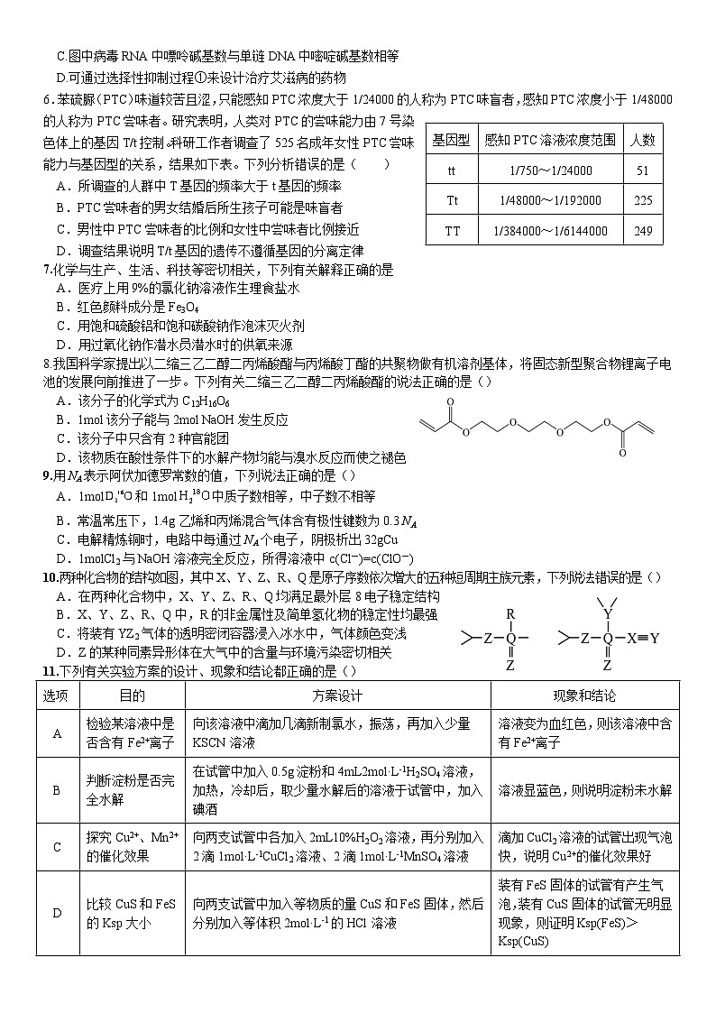 2024届四川省内江市威远中学校高三下学期第一次模拟考试理科综合试题02