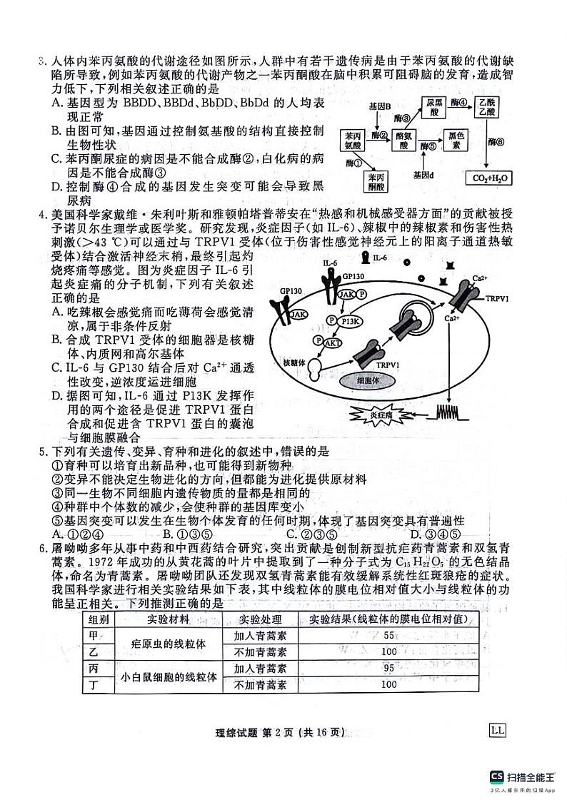 陕西省榆林市2023-2024学年高三下学期2月大联考试题理综试卷（PDF版附解析）第2页