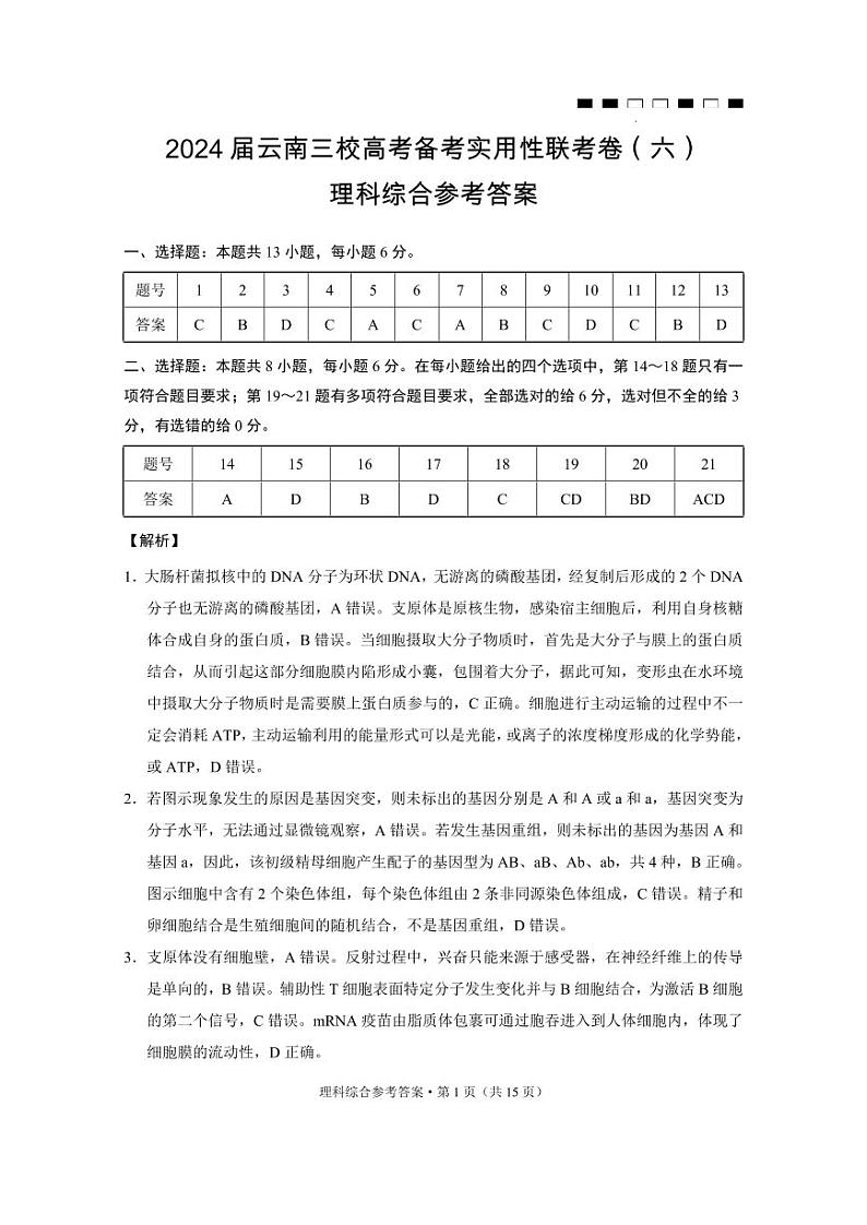 2024届云南省三校高考备考实用性联考卷（六）理科综合及答案01