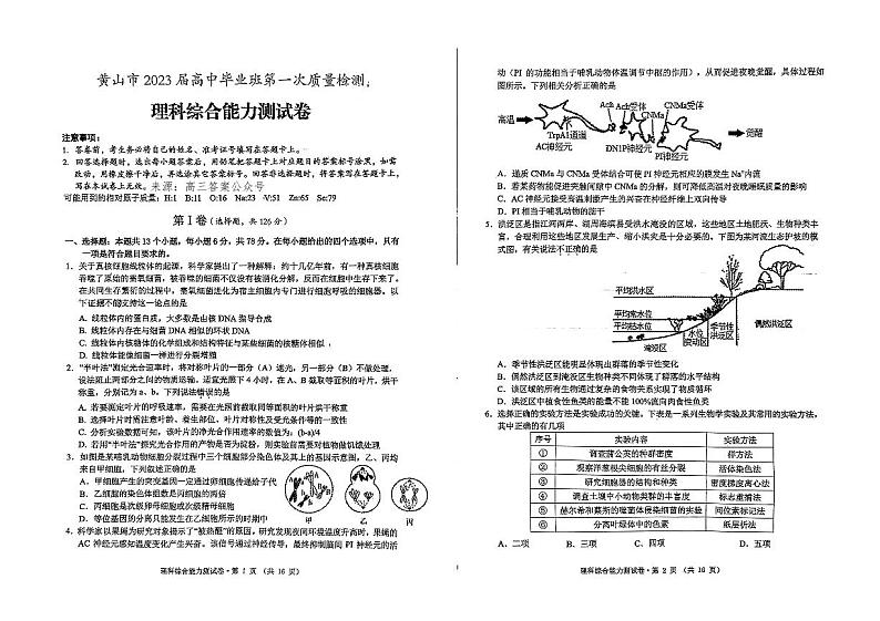黄山市2023届高中毕业班高三第一次质量检测理综试题及答案01