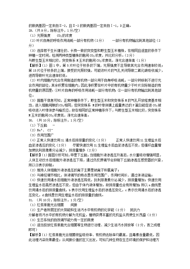 2024届四川省成都市石室中学高三下学期二诊模拟考试理科综合试题02