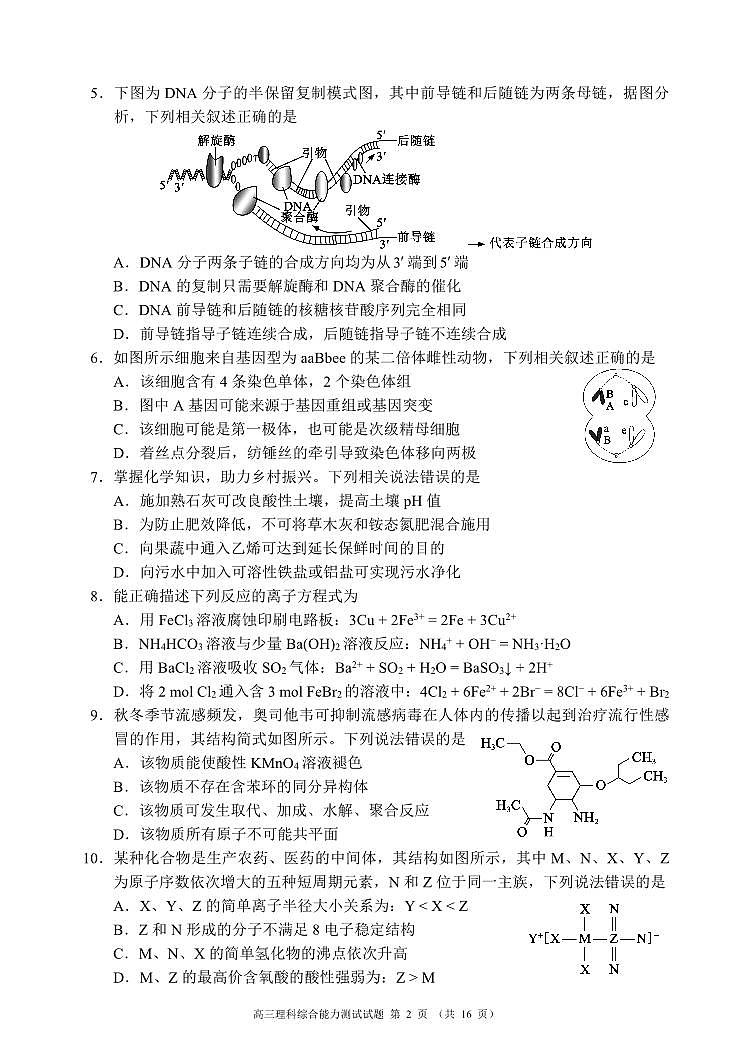 四川省成都市蓉城联盟2023～2024学年度高三上学期第二次联考理科综合试题第2页