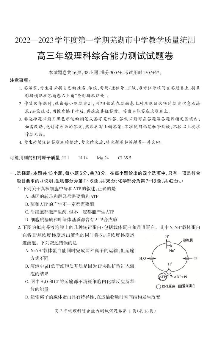 2022-2023学年芜湖市高三上学期期末理综试题及答案01