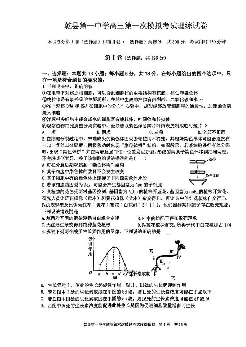 2024届陕西省咸阳市乾县第一中学高三下学期第一次模拟考试理综试题01