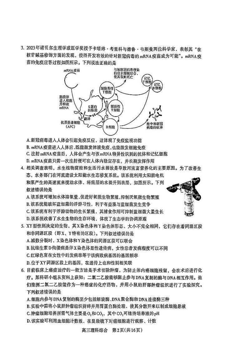 2024届河南省济洛平许四市高三下学期第三次质量检测（三模）理综试题02